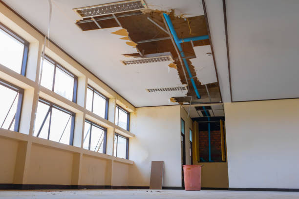 Best Ceiling water damage repair  in Rutledge, GA
