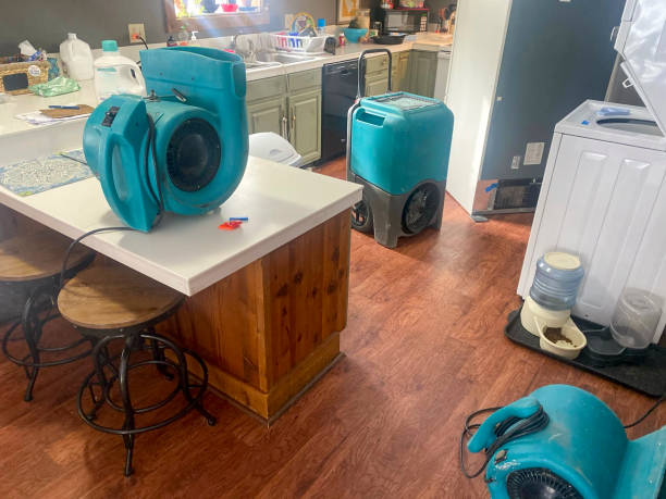 Best Emergency water damage restoration  in Rutledge, GA