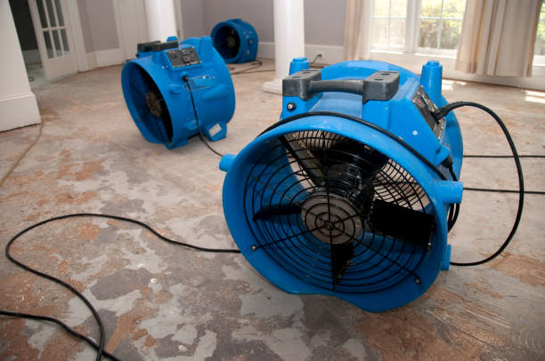 Best Basement water damage restoration  in Rutledge, GA