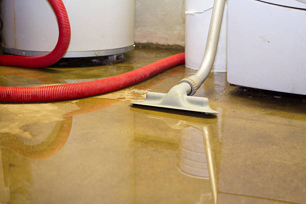 Best Water damage contractors near me  in Rutledge, GA