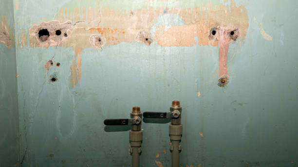 Best Mold removal after water damage  in Rutledge, GA