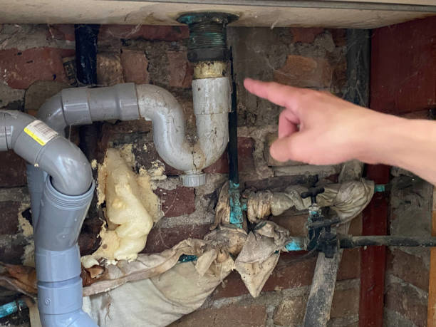 Best Flooded house restoration  in Rutledge, GA