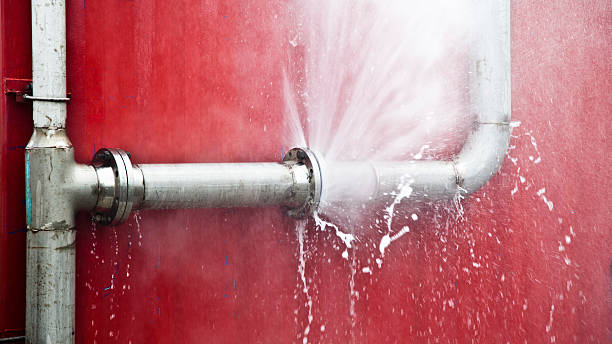 Best Sewage cleanup and water damage restoration  in Rutledge, GA