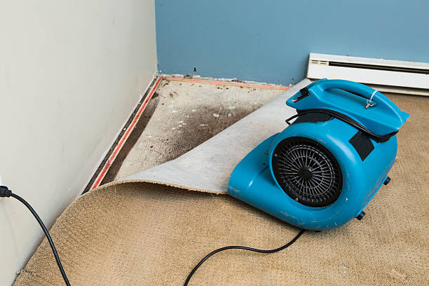 Best Ceiling water damage repair  in Rutledge, GA